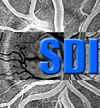 SDI webserver logon